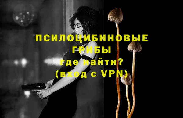крисы Горно-Алтайск