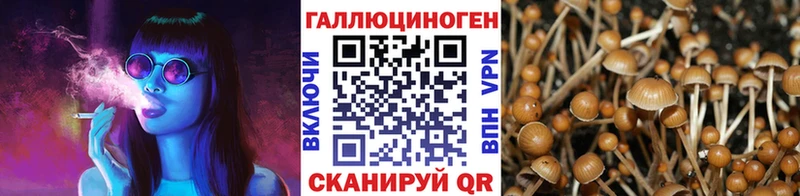 наркотики  Севастополь  Галлюциногенные грибы мухоморы 
