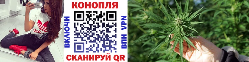 купить закладку  Севастополь  Конопля сатива 